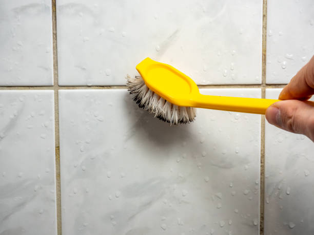 Best Commercial Mold Removal  in Fairdale, PA