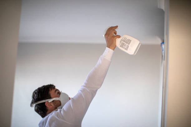 Best Professional Mold Removal  in Fairdale, PA